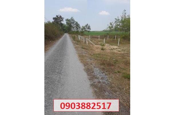 ⭐️Chính chủ bán mảnh đất 1287m2 tại Ấp Tầm Lanh, xã Hiệp Thạnh, Gò Dầu, Tây Ninh; 1,3 tỷ; 0903882517