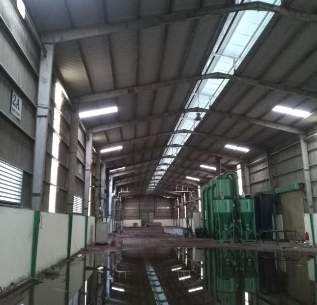 Chuyển nhượng nhà máy chế biến gạo tại Tân Phú Thạnh, Châu Thành A, Hậu Giang
