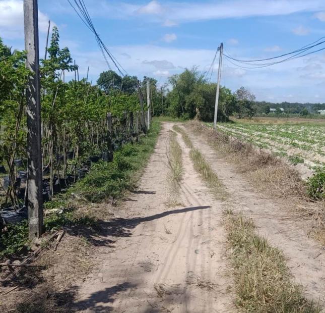 Bán gấp 8780m, mặt đường ĐT788, Ấp Sa Nghe, An Cơ, Châu Thành, Tây Ninh, chỉ 2,9 tỷ.