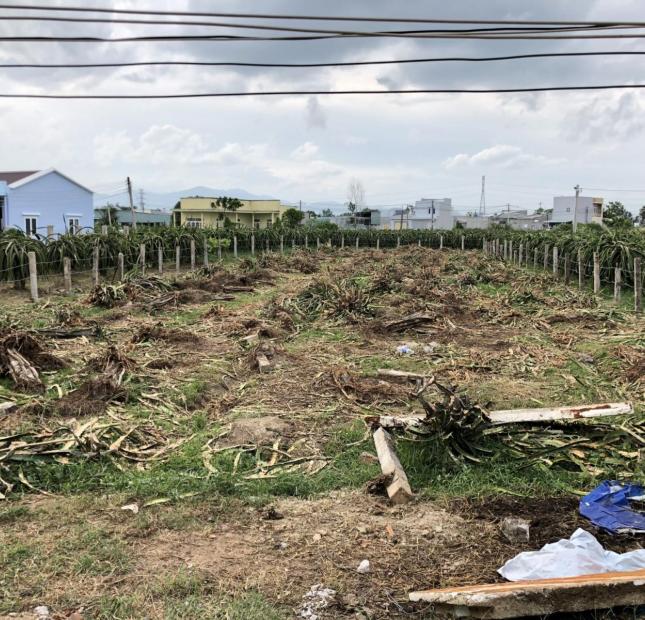 Chính chủ gửi 1 sào 4 đất KCN Phan Thiết, tiện làm nhà trọ hoặc yến hoặc nhà vườn, giá thương lượng