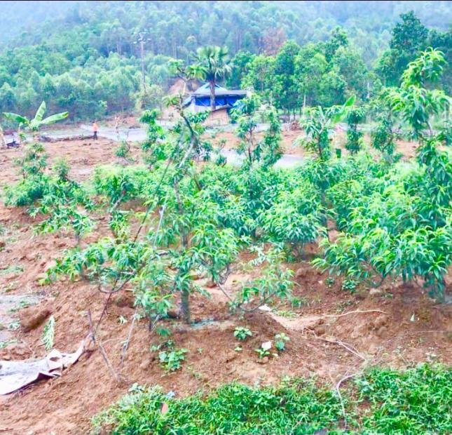 Đất nghỉ dưỡng nhà vườn Thanh Thủy Phú Thọ giá rẻ 