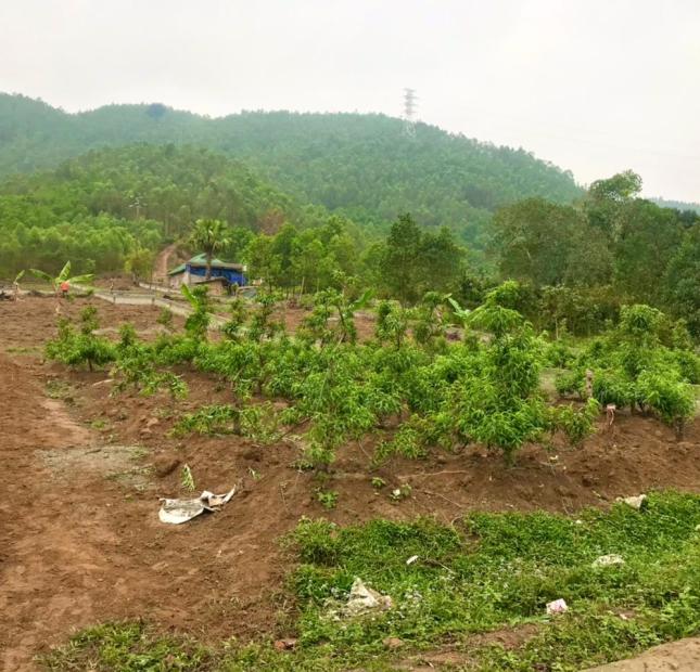 Đất nghỉ dưỡng nhà vườn Thanh Thủy Phú Thọ giá rẻ 