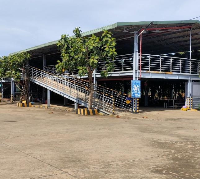 Cho thuê kho xưởng 10.000 m2 trong khu công nghiệp Giang Điền, huyện Trảng Bom.