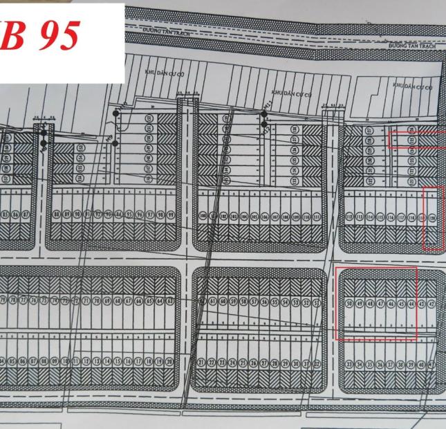 Cần tiền bán nhanh lô đất MB95 Quảng Trạch, Quảng Xương, Thanh Hóa 125m2 giá chỉ 820 triệu