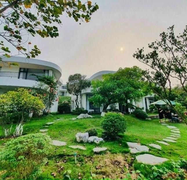 BÁN BIỆT THỰ IVORY VILLAS LƯƠNG SƠN HÒA BÌNH 600M 9,8 TỶ