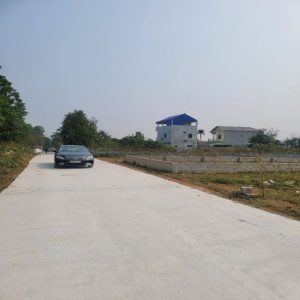 Chính chủ cần bán Đất tại thôn Miễu - xã Tiến Xuân