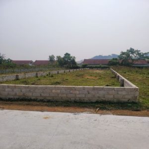 Chính chủ cần bán Đất tại thôn Miễu - xã Tiến Xuân