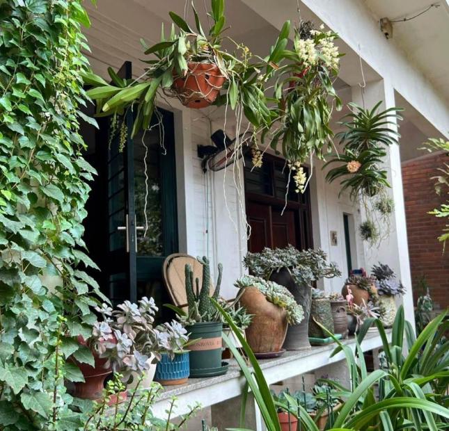 BẠCH MAI - NGÕ THOÁNG SÁNG SÁT PHỐ - 35M2 - CHỈ 4 TỎI TƯƠI VỀ Ở NGAY