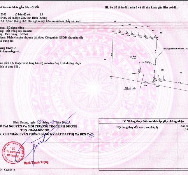 Đất An Điền Bến Cát Bình Dương 2188m2