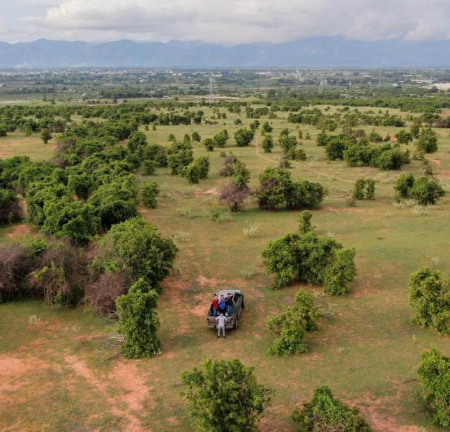 Bán 4212m2 đất sào xã sông luỹ vuông đẹp, sổ có đường già rẻ cho khách đầu tư chỉ 600tr Lh 0938677909 zalo Hiền xem sổ