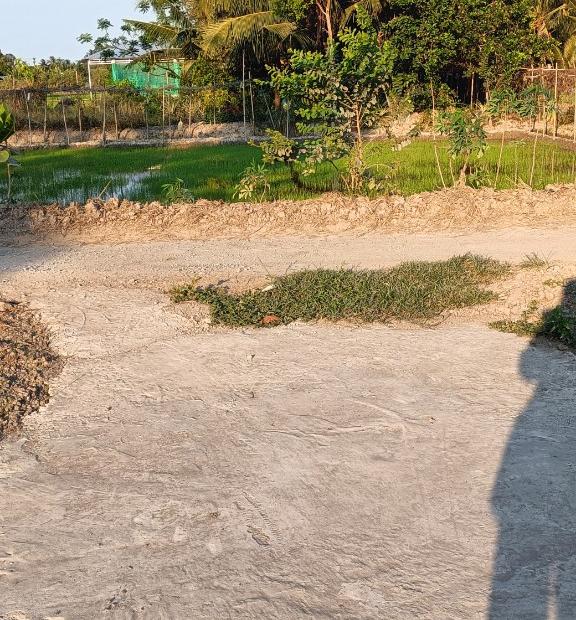 ĐẤT CHÍNH CHỦ - Sở Hữu Ngay Lô Đất Vị Trí Đẹp Tại Phú Đức - Long Hồ - Vĩnh Long