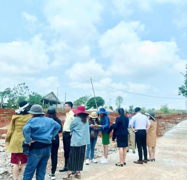 Siêu Phẩm Đất Kim Cương Trục Đường Hùng Vương - Lợi Nhuận Gấp 2 Gấp 3 Cho Nhà Đầu Tư