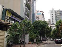 Chính chủ Bán biệt thự Mễ Trì Hạ DT 210m2, mt 12m  giá 49,8 tỷ