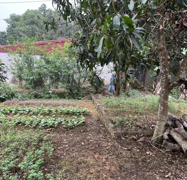 Bán đất Mặt tiền đường Lương Khánh Thiện , Ba sao đường lớn, Gần cổng vào Tam chúc Chỉ 35tr/m2