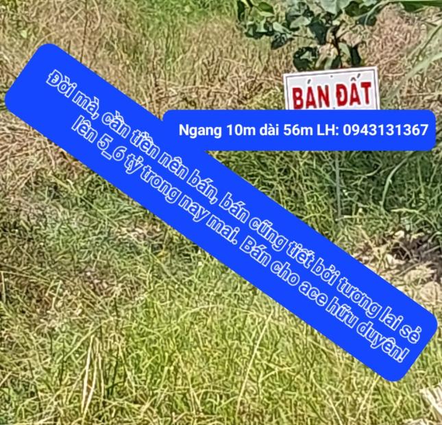 CHÍNH CHỦ CẦN BÁN ĐẤT KHU CÔNG NGHIỆP. U Minh, Cà Mau