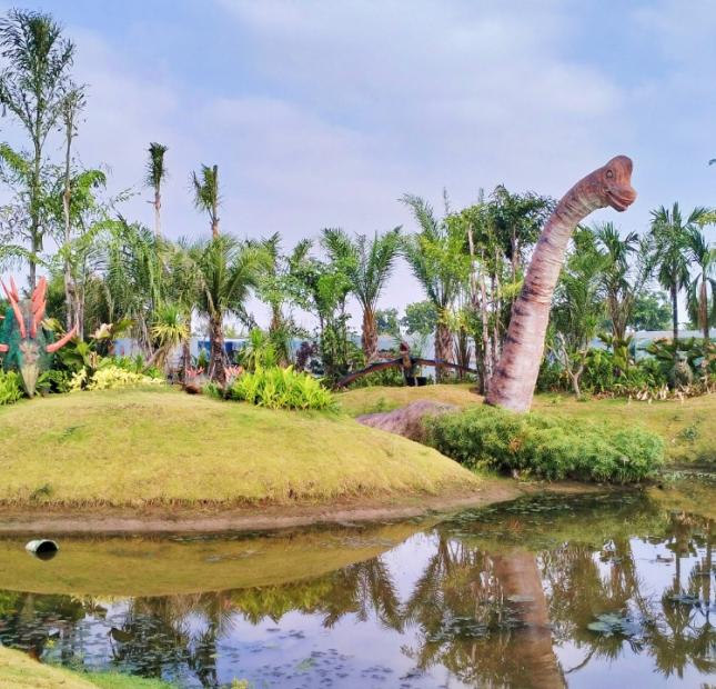 Mở bán KĐT Phúc An Asuka MT QL91 nối dài Hoàng Diệu vị trí vàng sinh lợi cao