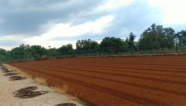 Cần chuyển nhượng 20ha đất kho nhà xưởng 50 năm tại KCN Đồng Văn, Tỉnh Hà Nam