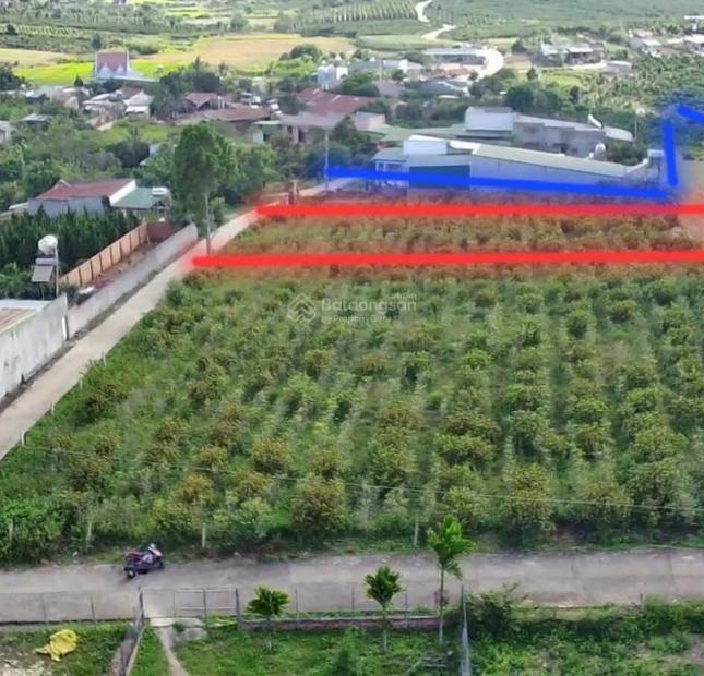 Bán đất MT hẻm 6m sau lưng UBNDX Ninh Gia - Đức Trọng - Lâm Đồng. 1840m2, giá bán 3,8 tỷ