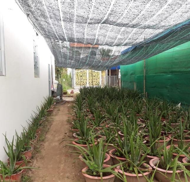 CHÍNH CHỦ bán nhà và đất vị trí đẹp tại xã Vĩnh Hòa, huyện Chợ Lách, Bến Tre