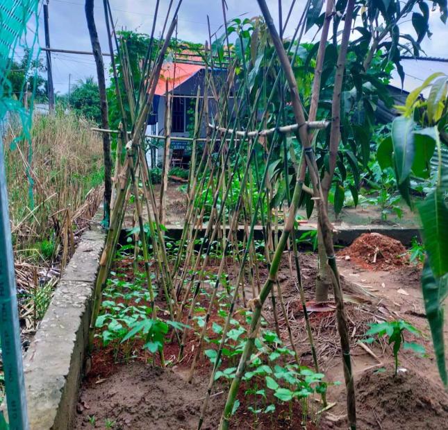 CHÍNH CHỦ bán nhà vị trí đẹp tại Xã Ninh Thới, Cầu Kè, Trà Vinh