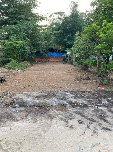 Cần bán gấp lô đất 100m2 ở bến cát, bình dương, kế nhà chủ dân đông.