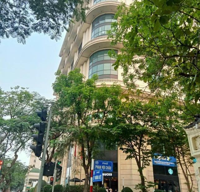 BÁN ĐẤT PHỐ PHAN BỘI CHÂU TRUNG TÂM QUẬN HOÀN KIẾM - PHÙ HỢP XÂY BIỆT PHỦ HOẶC BUILDING VĂN PHÒNG - NHÀ HÀNG KHÁCH SẠN