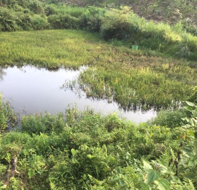 Chính chủ cần bán lô đất trang trại tại Trung Thành – vị xuyên – Hà Giang