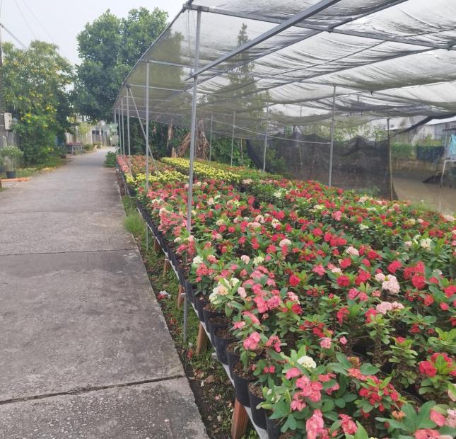 Bán Đất mặt tiền view dòng sông hoa Sa Đéc