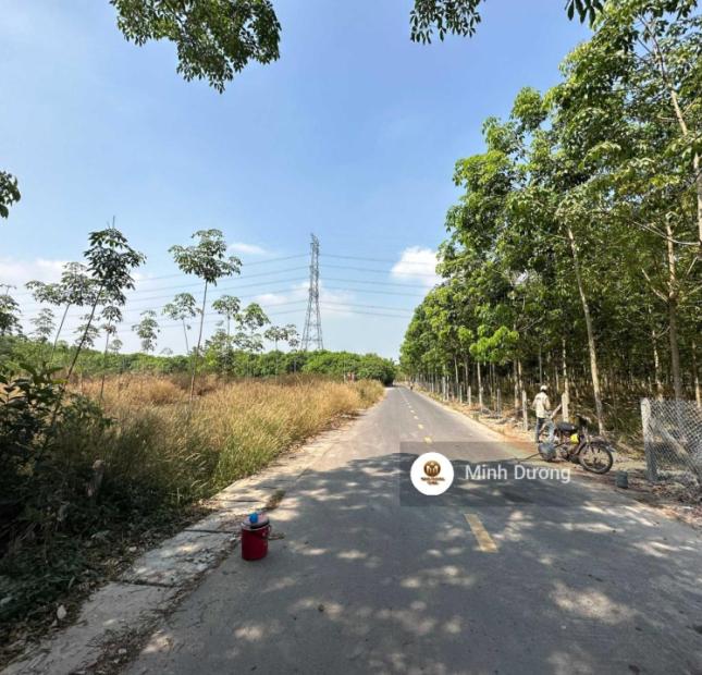 Giảm 3 tỷ  lô đất 1999m2 mặt tiền 20m đường 24m An Điền Bến Cát