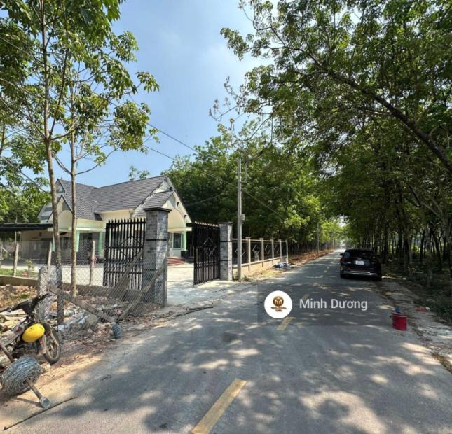 Giảm 3 tỷ  lô đất 1999m2 mặt tiền 20m đường 24m An Điền Bến Cát