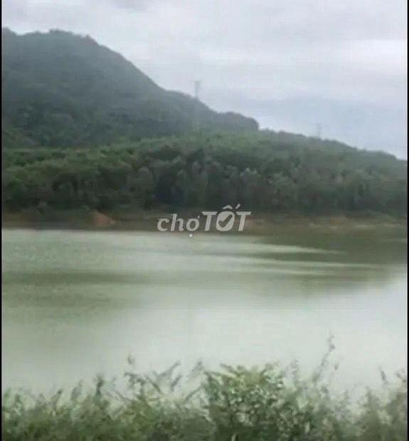 Chính chủ cần Bán đất rừng sản xuất Xã Phượng Vĩ, Huyện Cẩm Khê, Tỉnh Phú Thọ