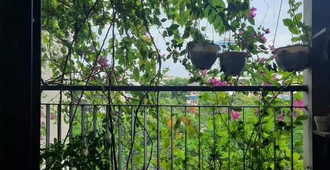 CĂN HỘ CHUNG CƯ  CAO CẤP ,GREENPARK KĐT VIỆT HƯNG QUẬN LONG BIÊN 
 TIỆN ÍCH ĐỦ ĐẦY ,KHÔNG GIAN
