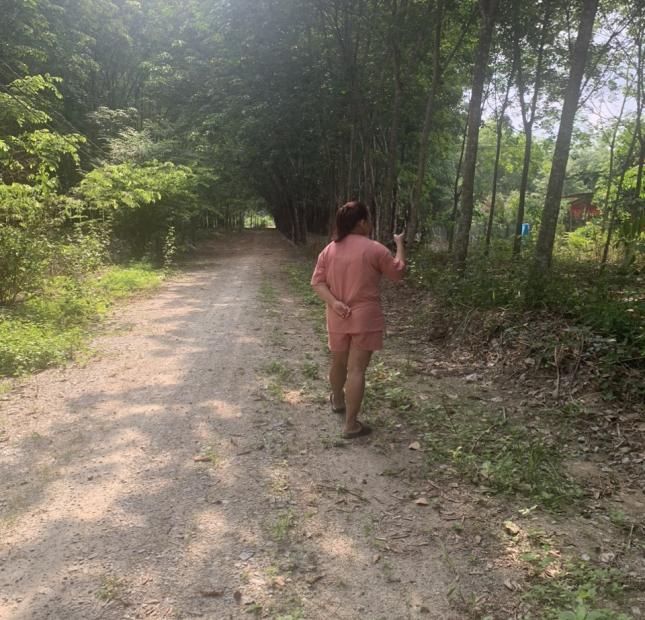 BÁN ĐẤT TRỒNG CÂY LÂU NĂM