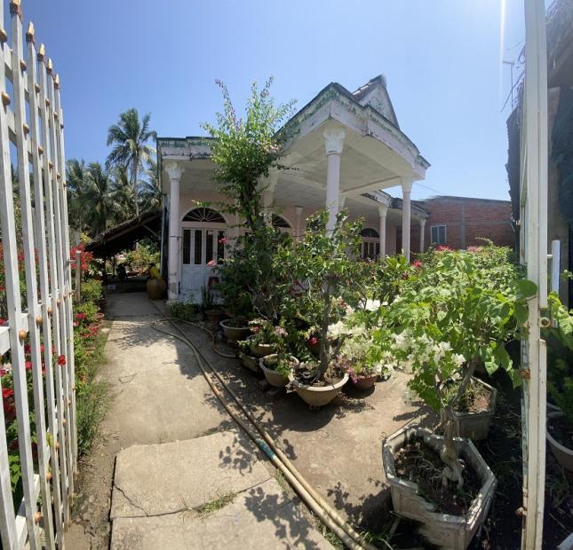 Sở Hữu Ngay Lô Đất Vị Trí Đắc Địa Tại Tân Thiện - Tân Thành Bình - Mỏ Cày Bắc - Bến Tre