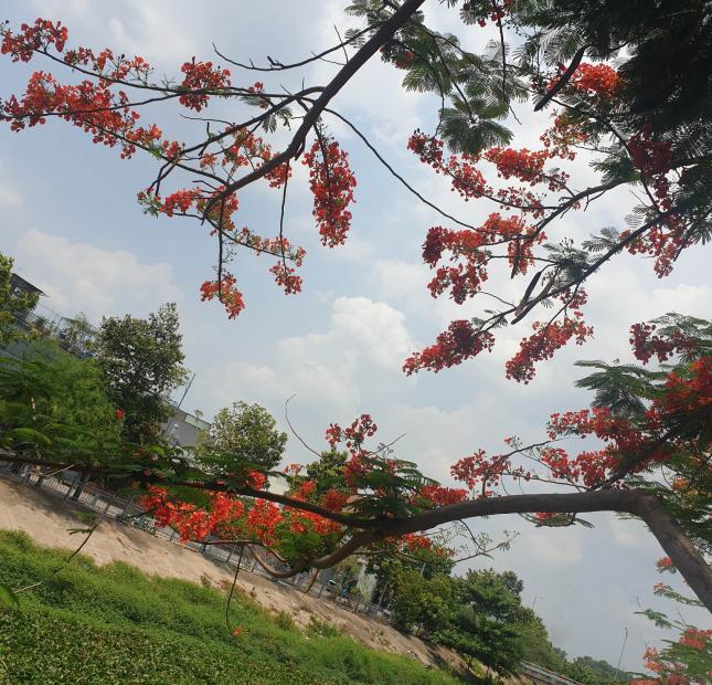 ĐẤT XÂY TRỌ. NHÀ Ở DỊCH VỤ FULL THỔ CƯ. BÊN HÔNG KHU CHẾ XUẤT LINH TRUNG. KCN ĐỒNG AN. GIÁ CHỈ HƠN