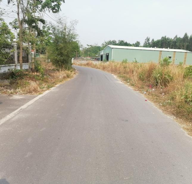 1000m2, thổ cư 100m2 ( 2 mặt tiền đường nhựa ) nằm gần QL13, Bình Dương