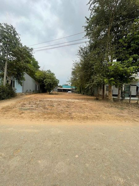 Sở Hữu Ngay Lô Đất Đẹp Vị Trí Đắc Địa Tại Xã Nhị Trường, Huyện Cầu Ngang, Tỉnh Trà Vinh