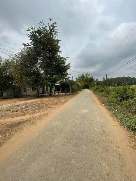 Sở Hữu Ngay Lô Đất Đẹp Vị Trí Đắc Địa Tại Xã Nhị Trường, Huyện Cầu Ngang, Tỉnh Trà Vinh