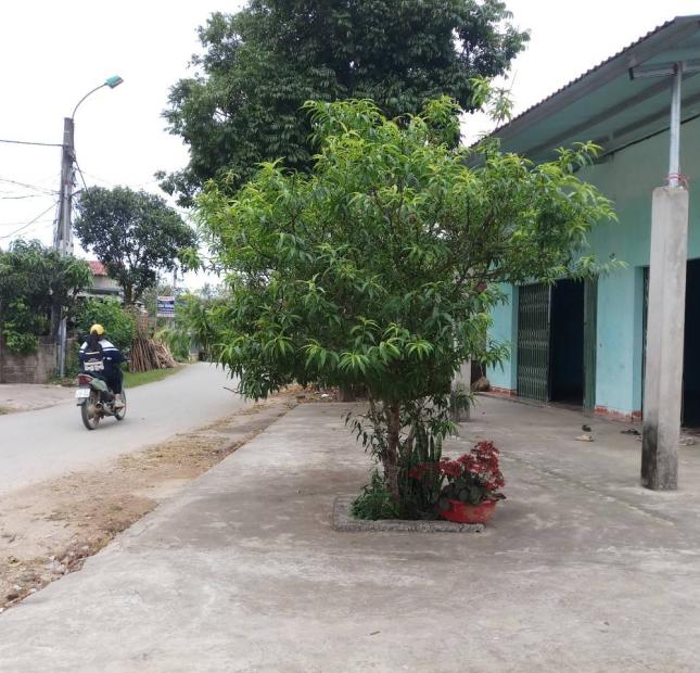 Bán nhà ngõ 6 đường Thanh Niên, trung tâm thị trấn Sơn Dương, Tuyên Quang. Kinh doanh đc. giá chỉ