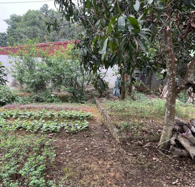 Bán nhà ngõ 6 đường Thanh Niên, trung tâm thị trấn Sơn Dương, Tuyên Quang. Kinh doanh đc. giá chỉ