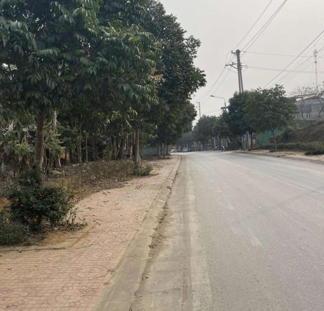 Bán đất ngay nhà hàng Hoàng Long, đường tỉnh 977 cách mặt đường 10m trục chính