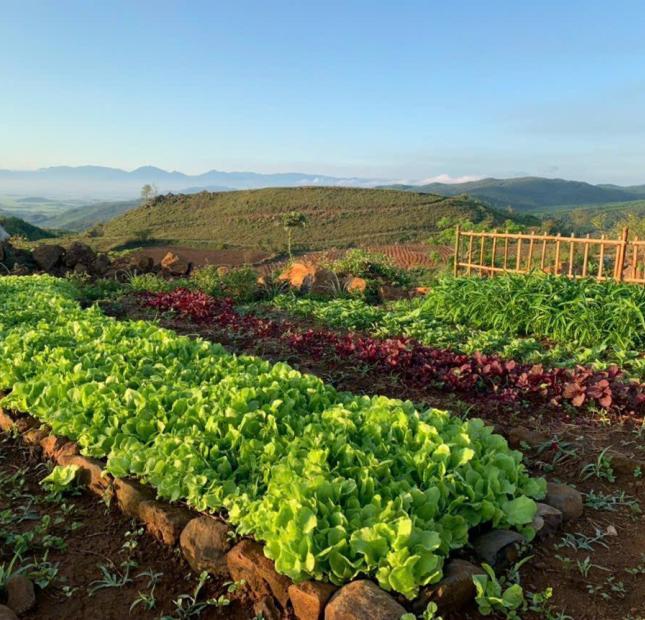 Bán Ngọn Đồi Cao Nguyên Vân Hòa, Đà Lạt 2, View Thành Phố, Thung Lũng, gần Khu Dân Cư