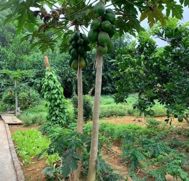 Bán đất trước mặt ngõ ngay các cụm công nghiệp. gần giáo xứ Đồng Sơn