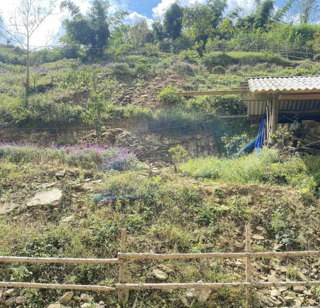 Cần bán gấp mảnh đất có diện tích khoảng 652m2 tại trung tâm Tả Phìn- SAPA