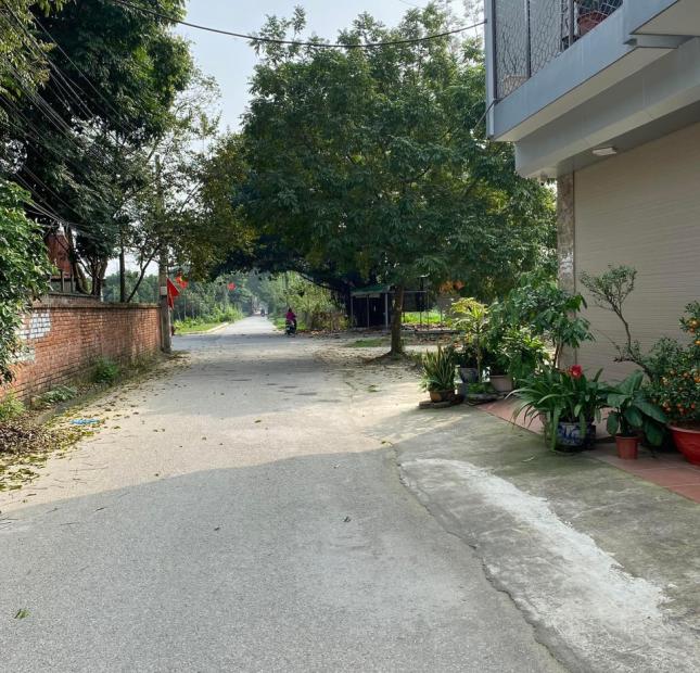 Bán đất Lâm Tiên - Đông anh,