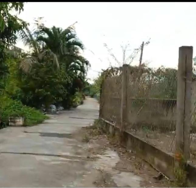 Bán nhà đất Homstay nghỉ dưỡng 466m2 phường Tân Quy Đông Sa Đéc Đồng Tháp
