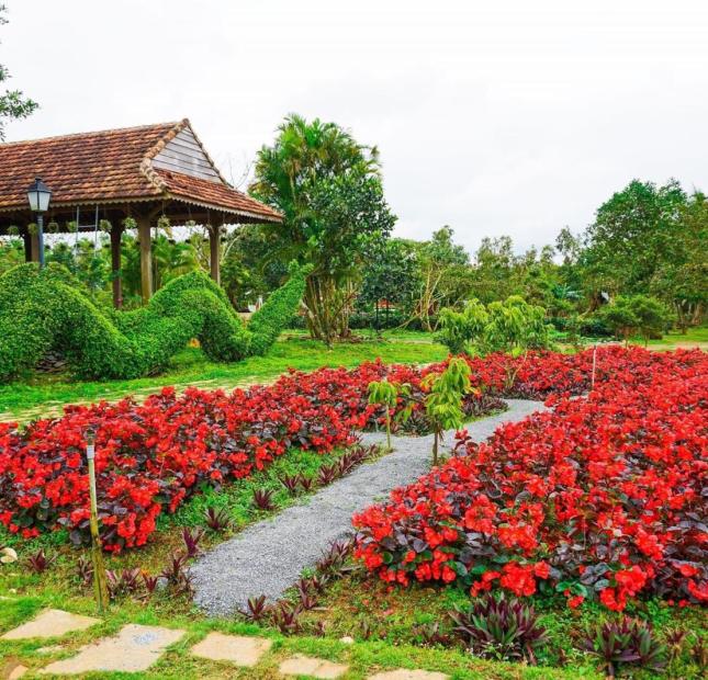 Bán Gấp 4,6ha Khu Du Lịch Cao Nguyên Vân Hòa, View Hồ, đang kinh doanh 80-100 triệu/tuần