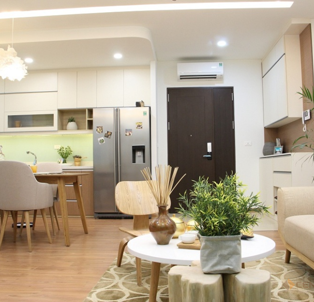 Mở bán chung cư giá rẻ T1 ĐỘi Cấn Ba ĐÌnh Ô tô đỗ cửa nhận nhà NGAY