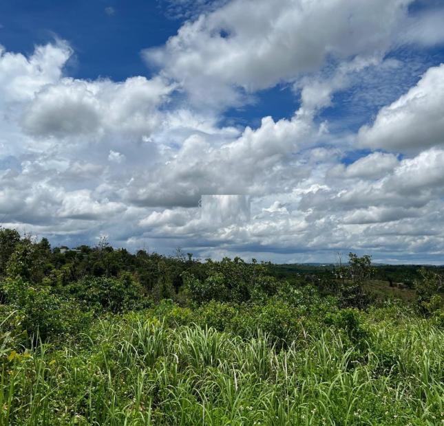 Bán gần 5000m2 đất view ngay Khu Tà Đùng Coffe / Lê Thánh Tông chỉ 17.85 tỷ