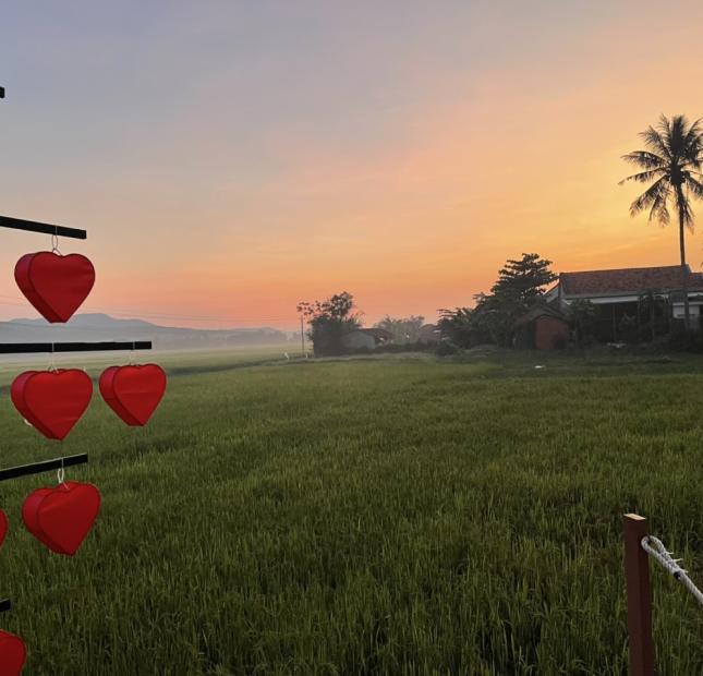 Đổ nợ bán gấp 2 lô đất Phú Sen Đông, Phú Hòa giá rẻ thanh toán trước 500 triệu phần còn lại 2 tháng sau vào đủ